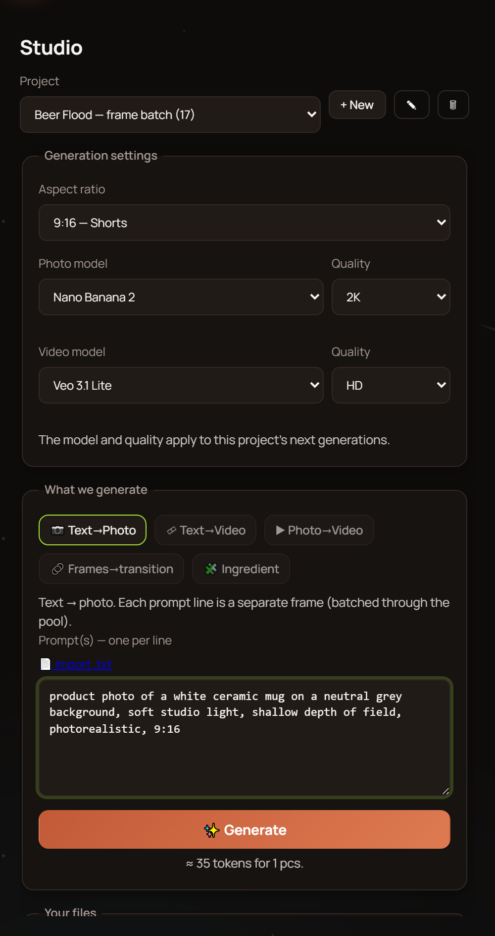 photo prompt input field in the Reelora studio