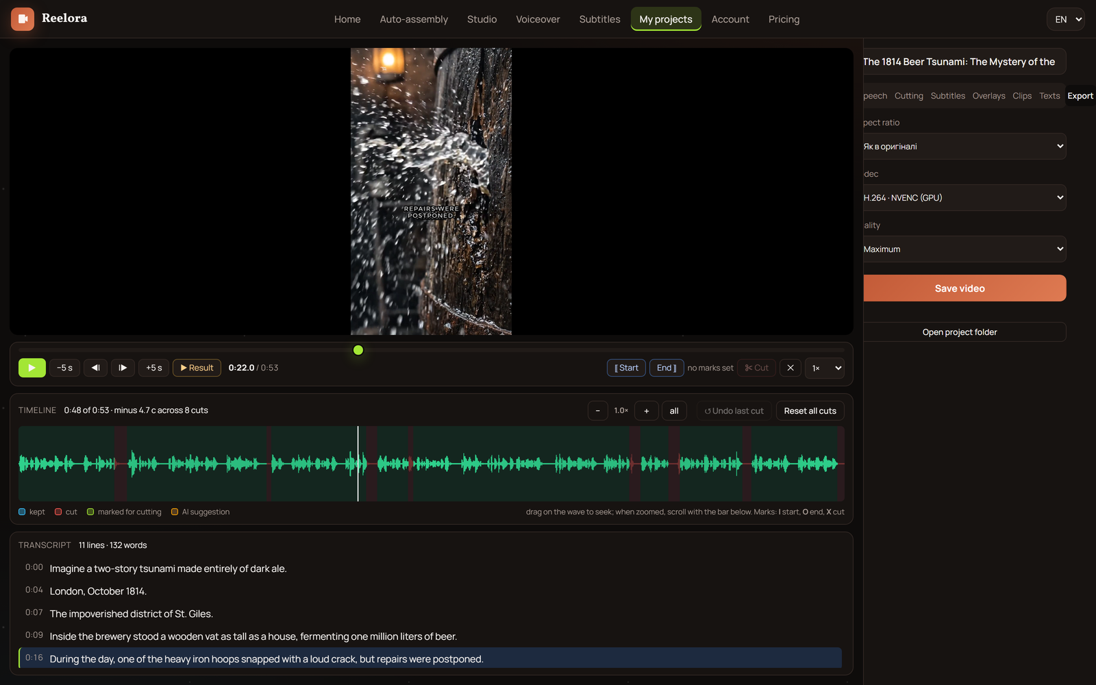 Fertig gekürztes Video mit Untertiteln im Reelora-Player